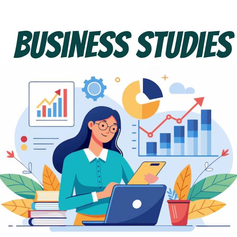 Business Studies Icon